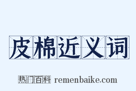 皮棉近义词是什么意思的图片